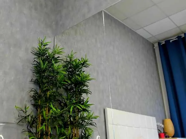 AmiraRees from BongaCams is Freechat