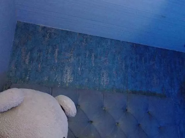 AnnaliOlsenX from BongaCams