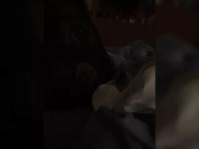 Chemezoff from BongaCams