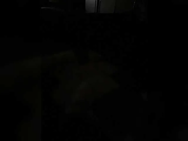 Chemezoff from BongaCams