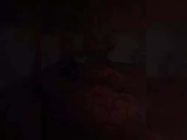 Chemezoff from BongaCams