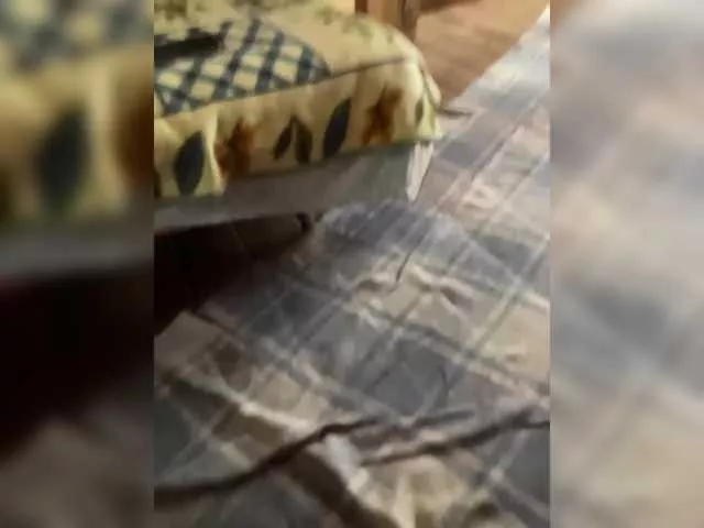 Chemezoff from BongaCams