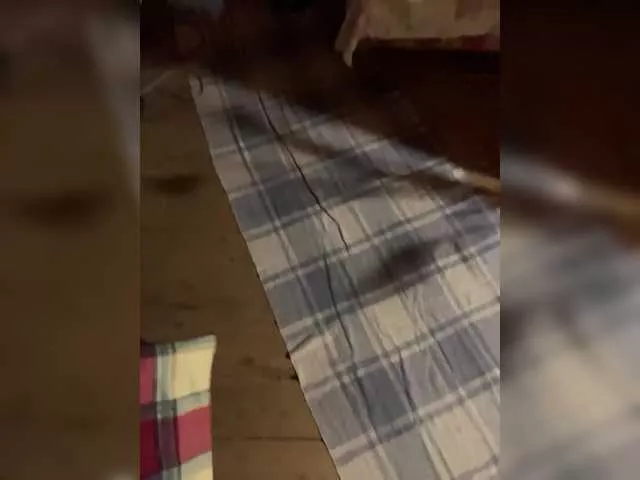 Chemezoff from BongaCams