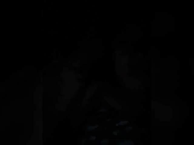 Cutewoman8 from BongaCams is Freechat