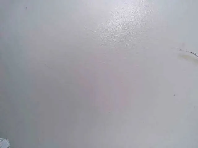 Ebonylee from BongaCams