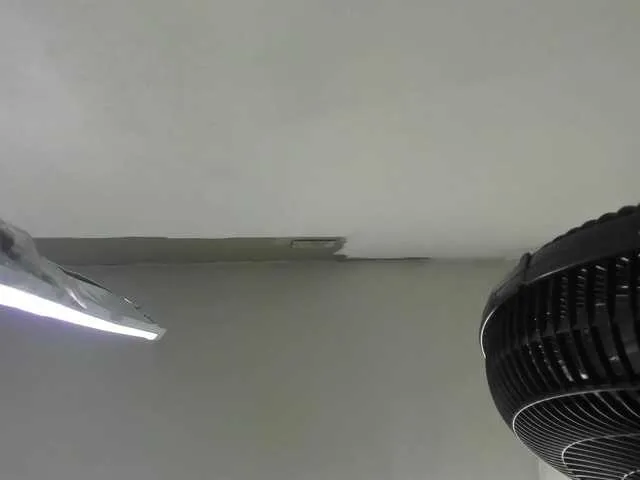 emperatris-23 on BongaCams 