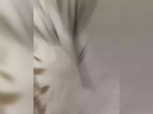 Essss33331 from BongaCams