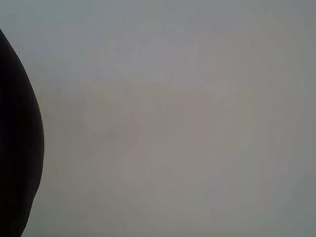 FelistaKeneddy from BongaCams