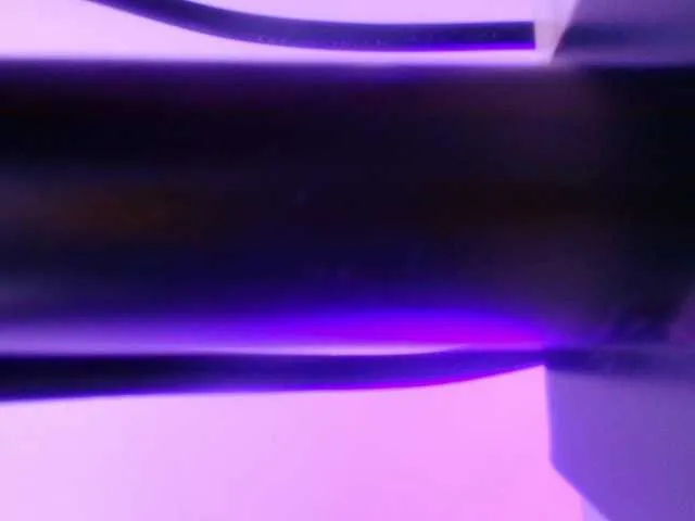 Gabry-leone from BongaCams