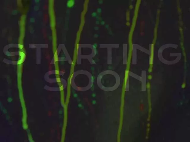 HEYBANANA from BongaCams