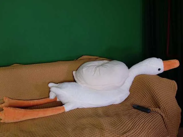 jane-booblegum from BongaCams