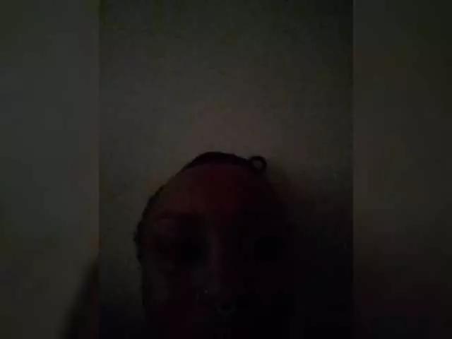 Kinkyfreak from BongaCams