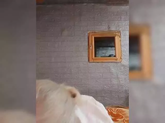 LizSage from BongaCams