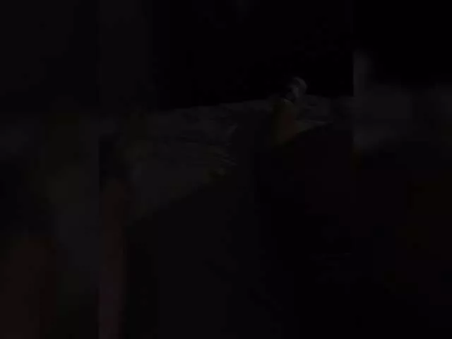 Para-po-paramam from BongaCams