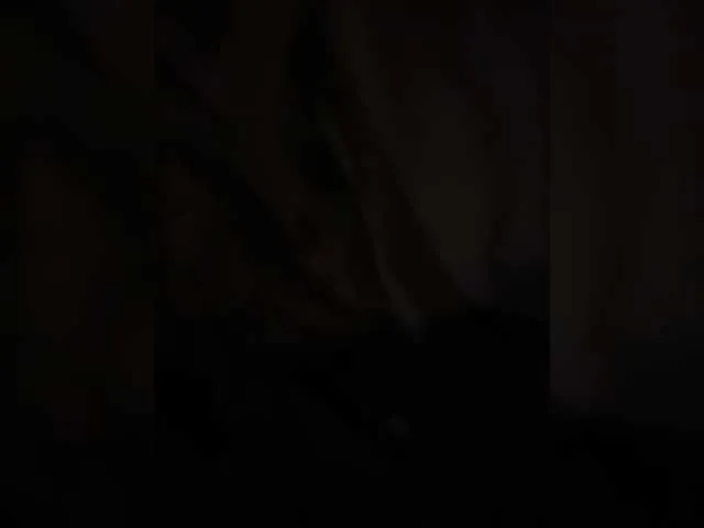 parapapa1-1 on BongaCams 