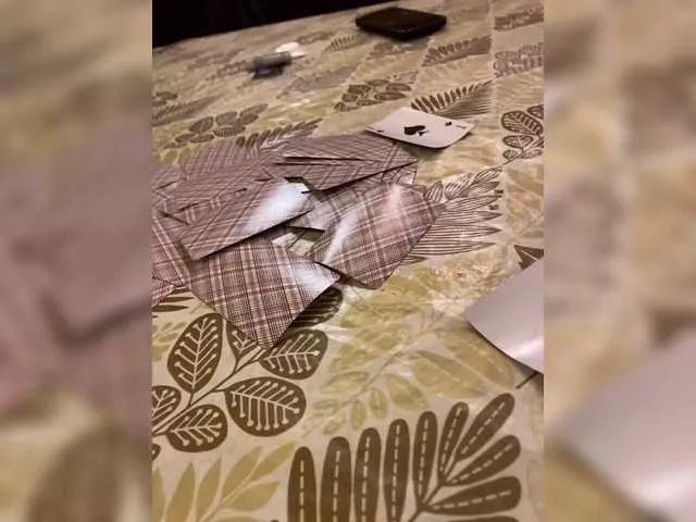 purpur33 on BongaCams 