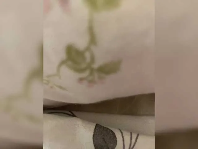 purpur33 on BongaCams 