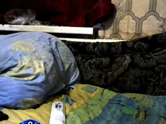 REPTILIAY from BongaCams