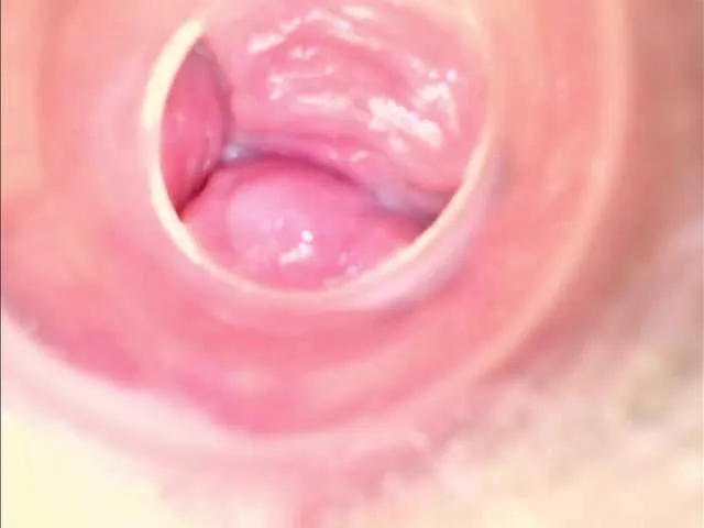 Shannon-kane from BongaCams is Freechat