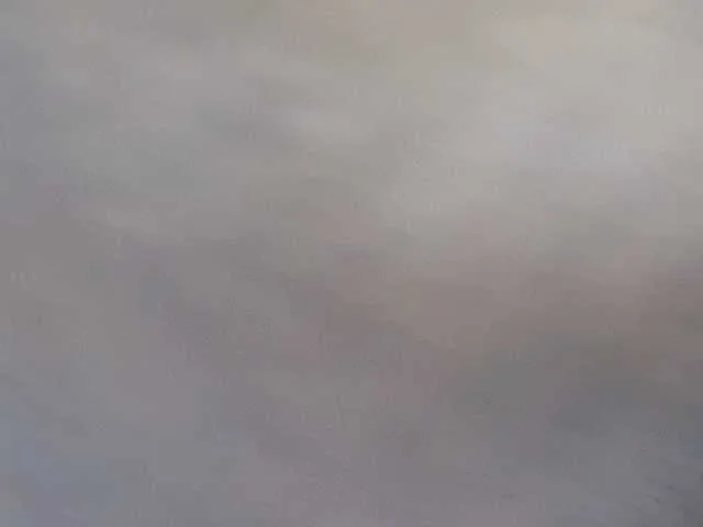 Sweetcoupleb from BongaCams