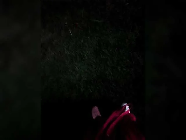 TilyTily from BongaCams