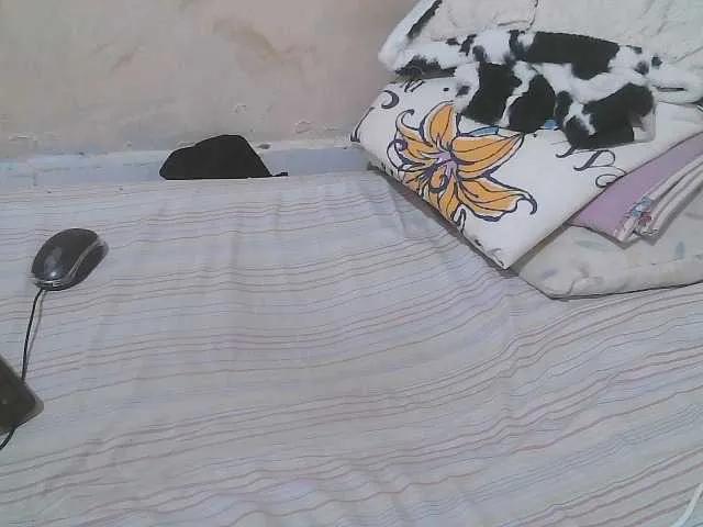 Verylshanny from BongaCams is Freechat