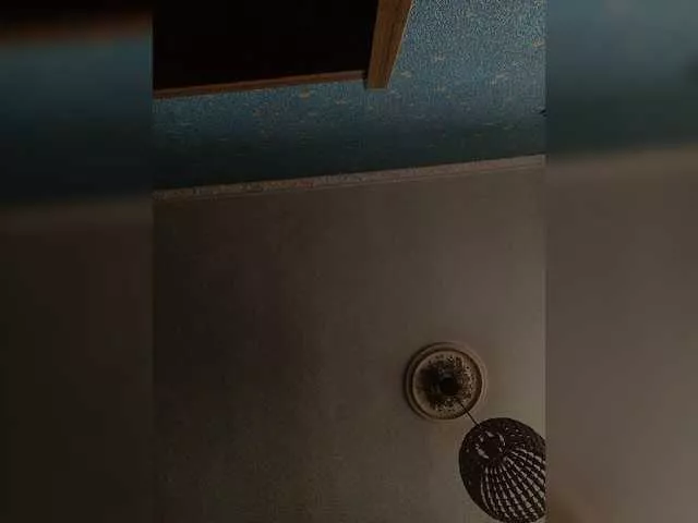 VikiBlanes from BongaCams