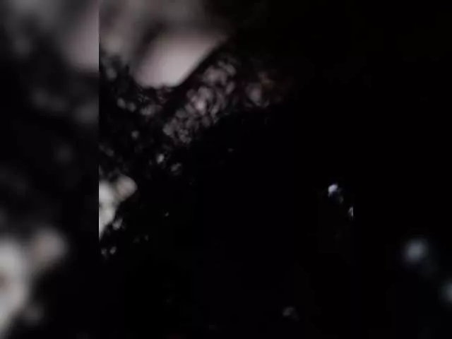 Xrisa from BongaCams