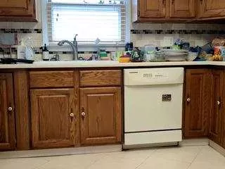 A1-cock from CamSoda