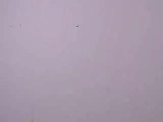 anaisvelvet2025 from CamSoda is Freechat