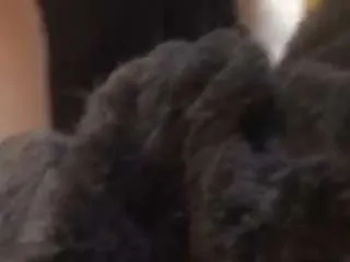 emila99 from CamSoda is Freechat