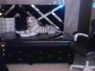 emily-cooper-a from CamSoda is Freechat
