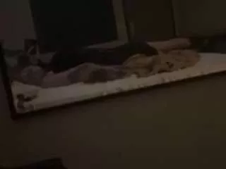 Inked4love5150 from CamSoda