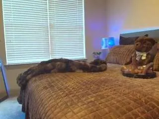 Jadacream from CamSoda