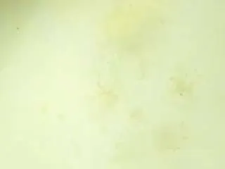 kathia-spring from CamSoda is Freechat