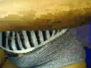 Mcsteamydaisy from CamSoda