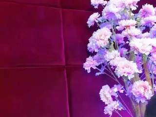 sugarmaple from CamSoda is Freechat