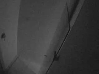 Voyeurcam-casa-salsa-bathroom-7 from CamSoda