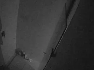 Voyeurcam-casa-salsa-bathroom-7 from CamSoda