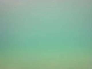 voyeurcam-casa-salsa-pool-1 from CamSoda is Freechat