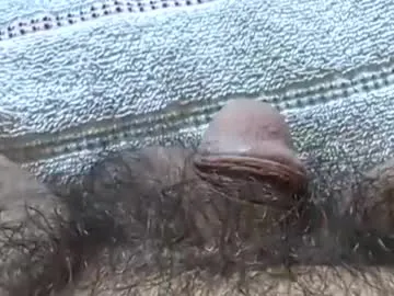 hornyallthetime6969696969 from Chaturbate is Freechat