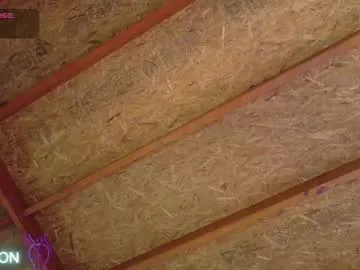 imnaughtyxx from Chaturbate is Freechat