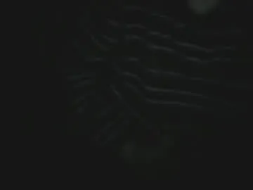 julien31x from Chaturbate is Freechat