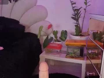 korolovaa from Chaturbate