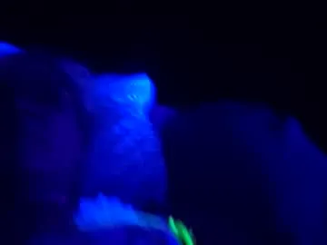 mistitwilight from Chaturbate is Freechat