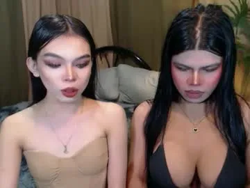 twinktransshanel from Chaturbate is Freechat