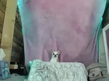 veronica90210 from Chaturbate is Freechat