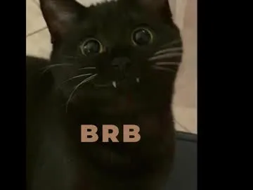 your_best_foxxx from Chaturbate is Freechat