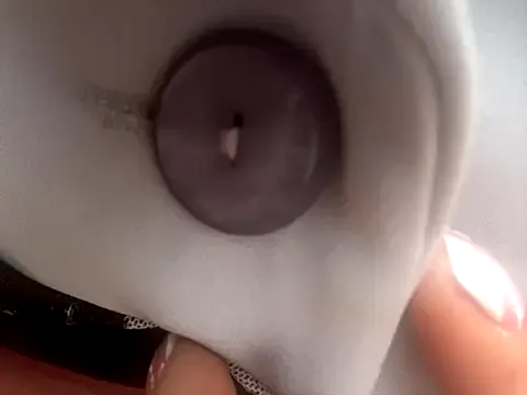 _Bella-Office1 from StripChat is Freechat