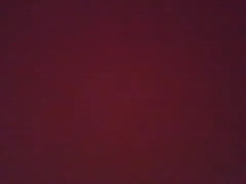 Analimado18 from StripChat